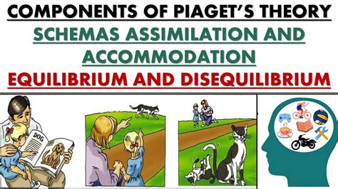 piaget's assimilation and accommodation.